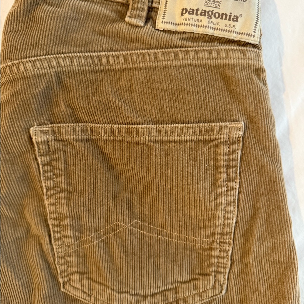 Patagonia Brown Corduroy Trousers